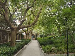 -徐家汇源景区-衡山公园