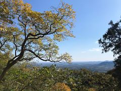 -北京鹫峰国家森林公园