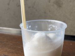 -洪馨椰子