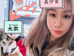 -Husky Go! 哈士奇体验馆·宠物咖啡厅狗咖