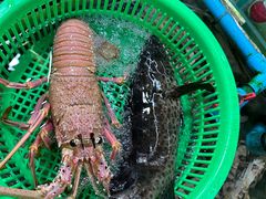 -班赞海鲜市场