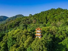 -三门江国家森林公园