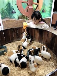 -宝燕乐园(闵行旗舰店)