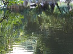 -成都市活水公园