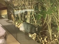 -索菲特西湖大酒店·香榭丽全日候餐厅(南山路店)