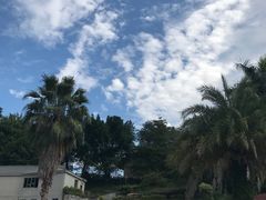 -罗浮山嘉宝田森林温泉度假酒店