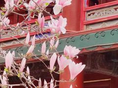 -潭柘寺景区