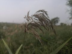 -绿堤公园