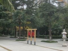 -木塔寺遗址生态公园