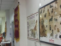 -惠康宠物医院(华能路店)