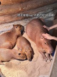 -Zoolung Zoolung动物主题公园(海信广场店)