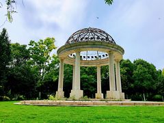 -合肥滨湖国家森林公园