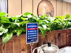 -眉州东坡(春秀路店)