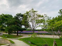 -富田农场