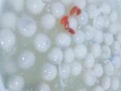 -精典一号民间菜