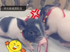 -开元商城(西旺店)