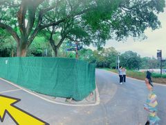 -梧桐山风景名胜区