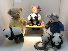 -成都泰迪熊博物馆