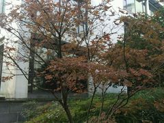 -苏州香山国际大酒店