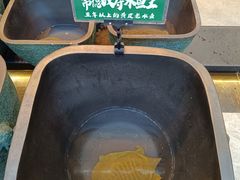 -烹湘·鲜炒湖南土菜(海珠店)