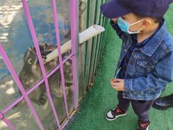 -萌宠亲子动物乐园(槐房万达店)