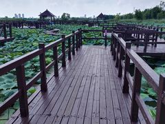 -威海华夏城景区