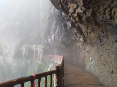 -塔云山