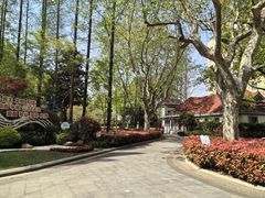 -徐家汇源景区-衡山公园