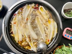 -江川野生菌火锅铜锅鱼(贵清火锅店)