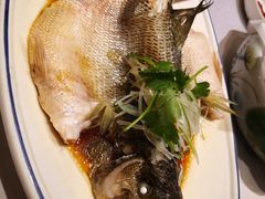 清蒸鲈鱼-北平盛世·新京菜·北京烤鸭(劲松·双井店)