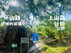 -白水寺森林公园