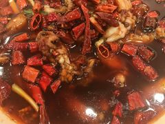 馋嘴牛蛙仔-簋街仔仔小龙虾(总店)