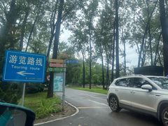 -秦皇岛野生动物园