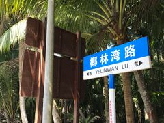 -东郊椰林