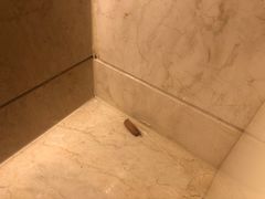 -武汉洲际酒店