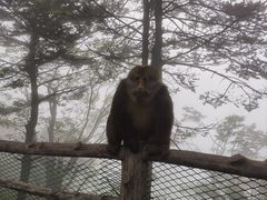 -峨眉山风景名胜区