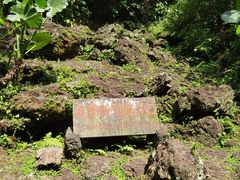 -海口火山口国家地质公园