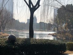 -桐乡植物园