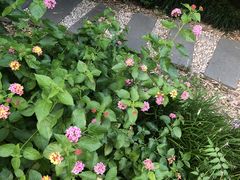 -苏州河梦清园环保主题公园