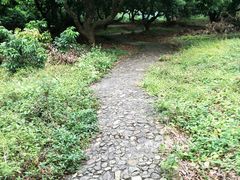 -大屏嶂森林公园