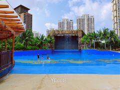 游乐设施-亚马逊丛林水乐园