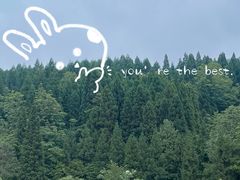 -武陵山森林公园