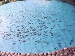 -剑河仰阿莎温泉小镇