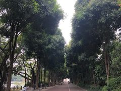 -南宁南湖公园