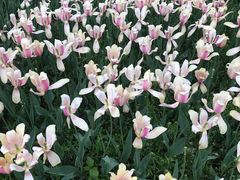 -长春公园(普阳街道)