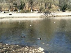 -辛玛王国游乐园