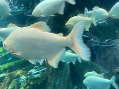 -波塞冬旅游度假区