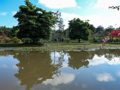 -中国科学院西双版纳热带植物园