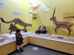 -国家自然博物馆