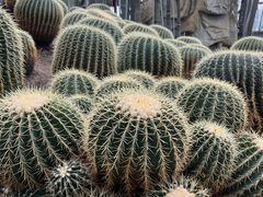 -南山植物园
